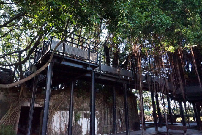 台南のオススメ観光スポット、安平樹屋をぶらぶらしてきました。